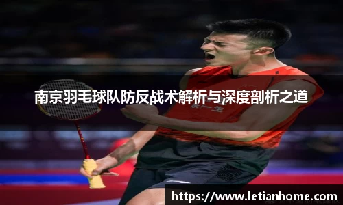 南京羽毛球队防反战术解析与深度剖析之道
