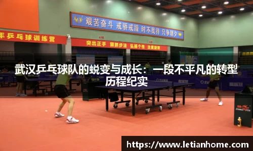 武汉乒乓球队的蜕变与成长：一段不平凡的转型历程纪实